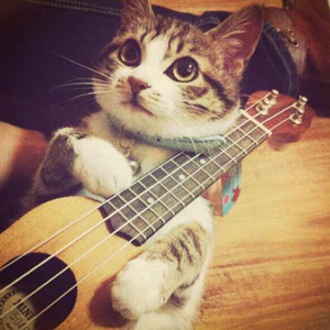 好爽～要尿了～刻晴要喷了～同桌
